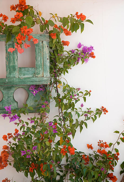 Riad Le J Marrakesh Buitenkant foto